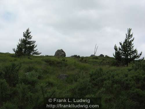 Slieve Daeane, Birds Mounatin